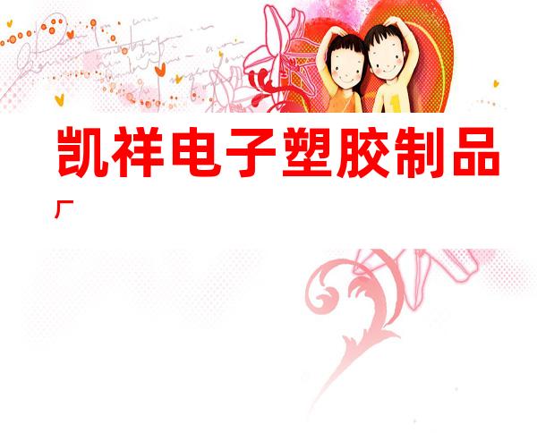 凯祥电子塑胶制品厂