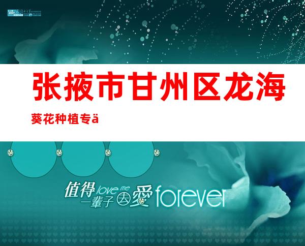 张掖市甘州区龙海葵花种植专业合作社