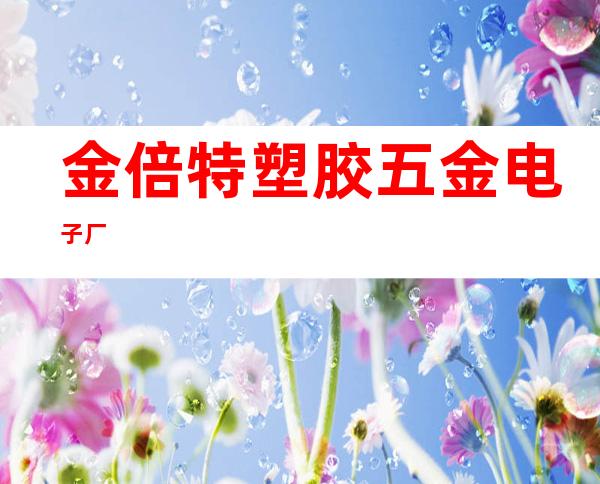 金倍特塑胶五金电子厂